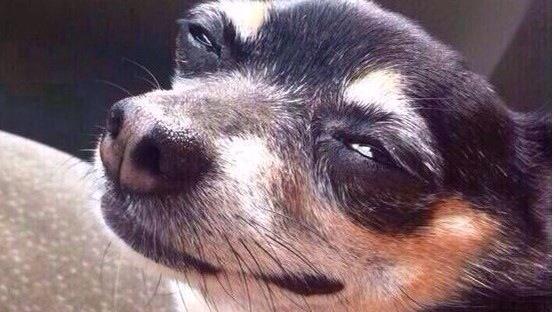 bebi_fernandez's tweet photo. Cuando llevas cuatro días estudiando y sale justo lo que no te has estudiao. http://t.co/lU4LVzzpsu