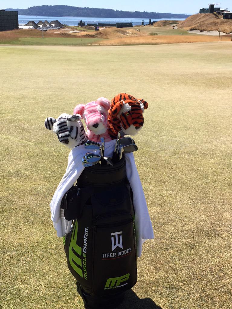Tiger Woods tweet media