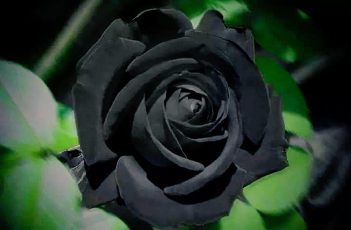 umar1931's tweet image. 