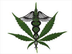 tellthemimbusy's tweet image. Calls for more research into medical marijuana globalnews.ca... … 
dld.bz/d6pjh
 #cannabis #thc