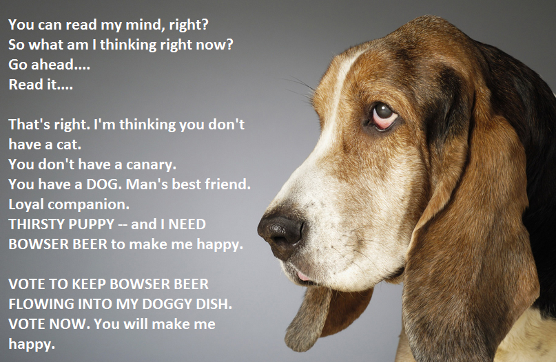 In quest for 250 just 43 to go. VOTE NOW!! 2 clicks-15 seconds. Keep <a href="/bowserbeer/">Bowser Beer</a> flowing. bit.ly/1Gp2oZb