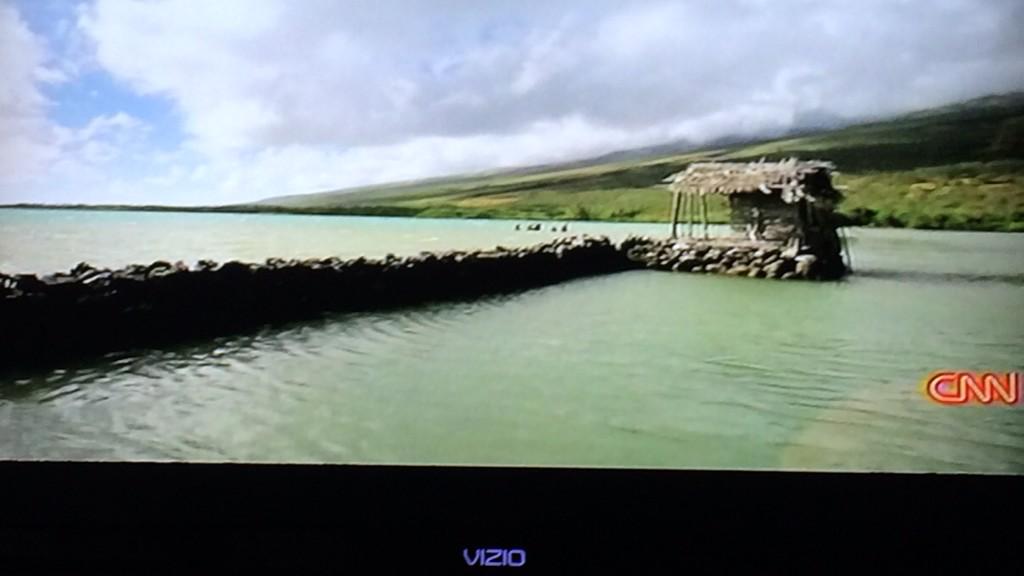 huiokuapa's tweet photo. It was an amazing show! Mahalo @PartsUnknownCNN and Anthony @Bourdain! #PartsUnknown #Keawanui #AlohaAina @huiokuapa http://t.co/oCrPeKhOD8
