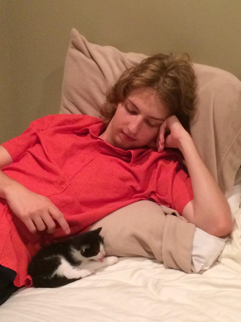 ebrzon's tweet image. we rented a kitten from @nadinenothing