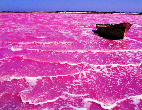 Озеро хиллер австралия. Озеро Хиллер. Озеро Ретба Сенегал. Озеро Хиллер (hillier), Австралия. Озеро Хиллер (остров Миддл).