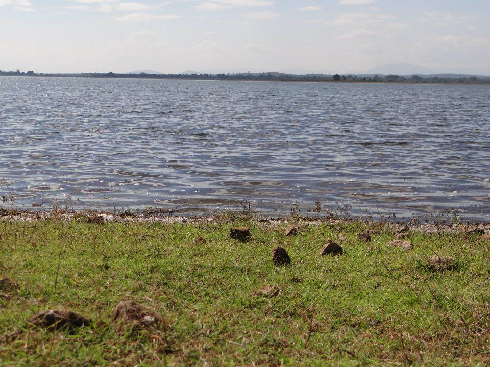 Janaki Shantharam tweet media