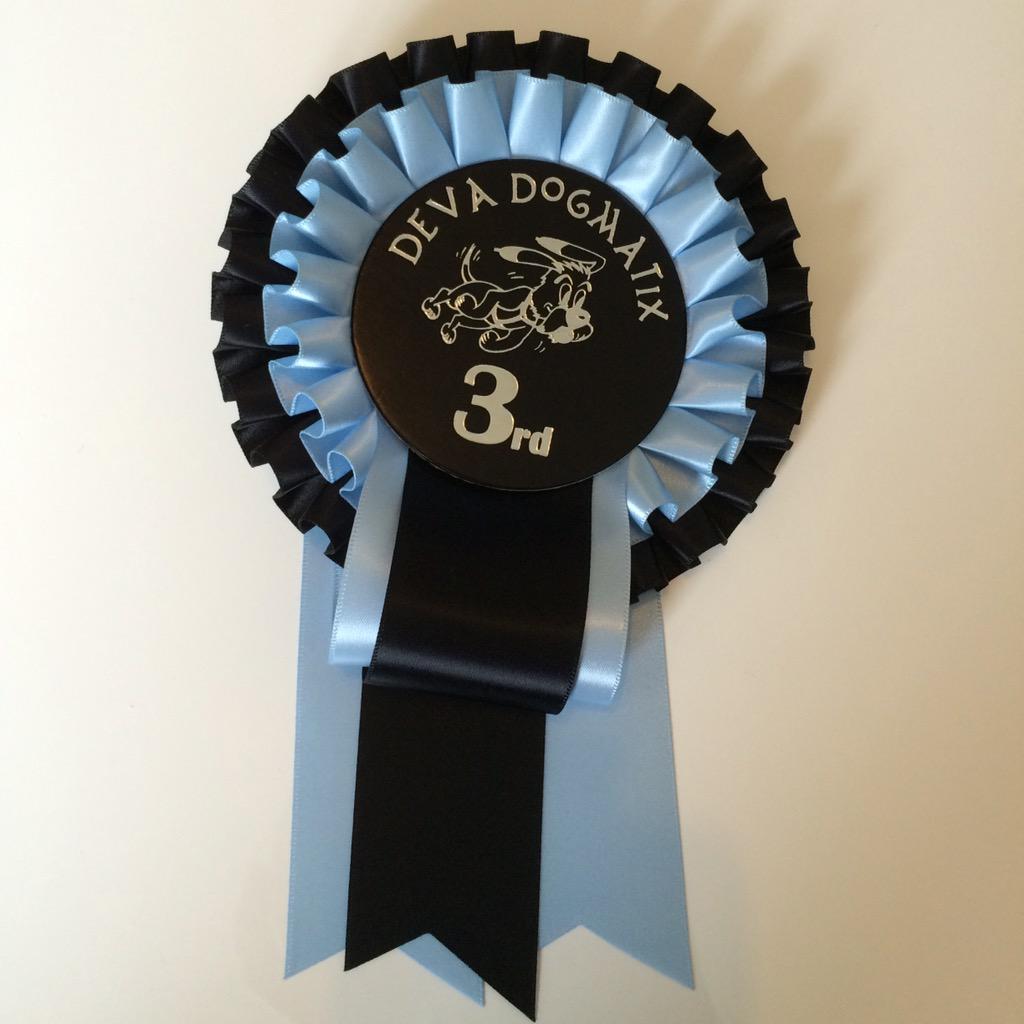 flyballwirral's tweet photo. We placed 3rd in our division on Saturday and came home with a lovely rosette, well done team! http://t.co/JXi9Rh3C5p