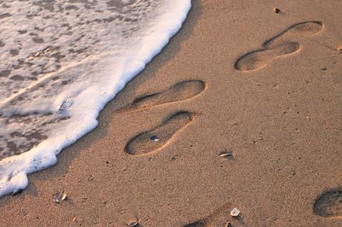 Did you know SimaPro 8 can now do Water Footprinting? simapro.co.uk