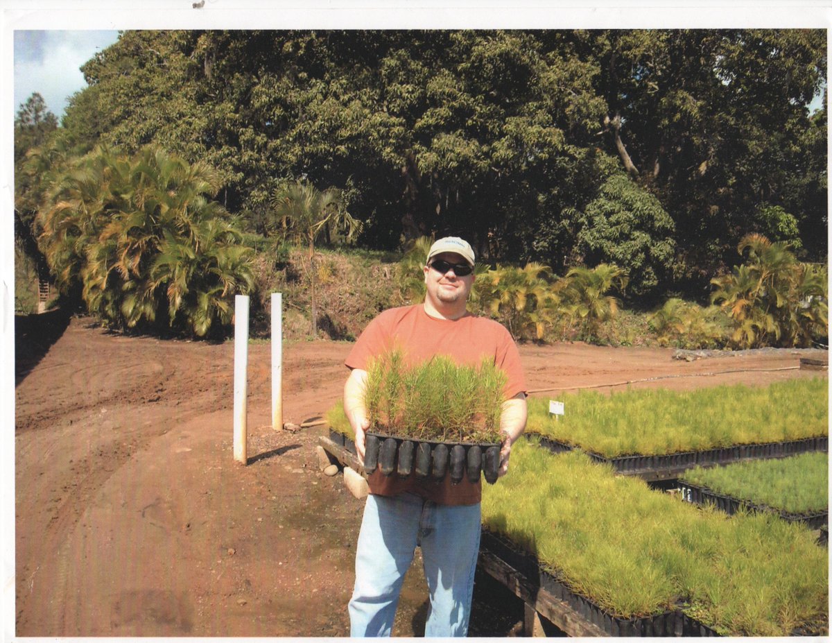CoffeeRustCure's tweet image. I am at a tree farm in Dominican Rep  2 send 50K+  Caribbean pine trees to #Haiti fondationseguin.org