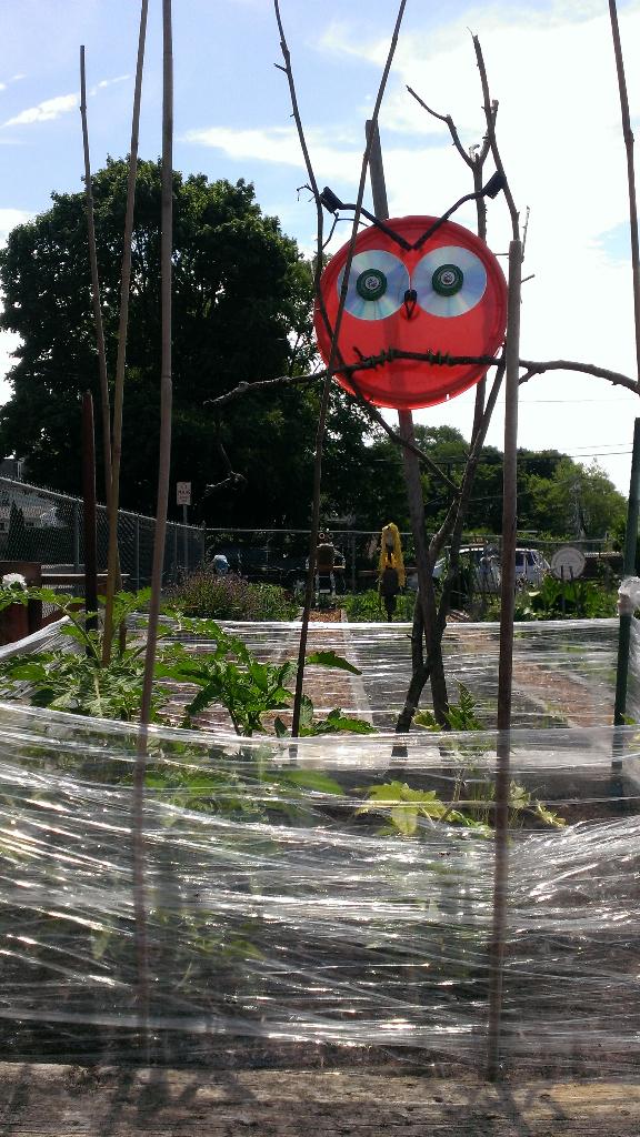 ShawnMahoney2's tweet image. @ArtWalkChelsea @ChelseaCGarden @CarolinaAnzola @ourchelseama  @mikesandov #UpcycleArt #IntuitiveKnowledge #BeWise