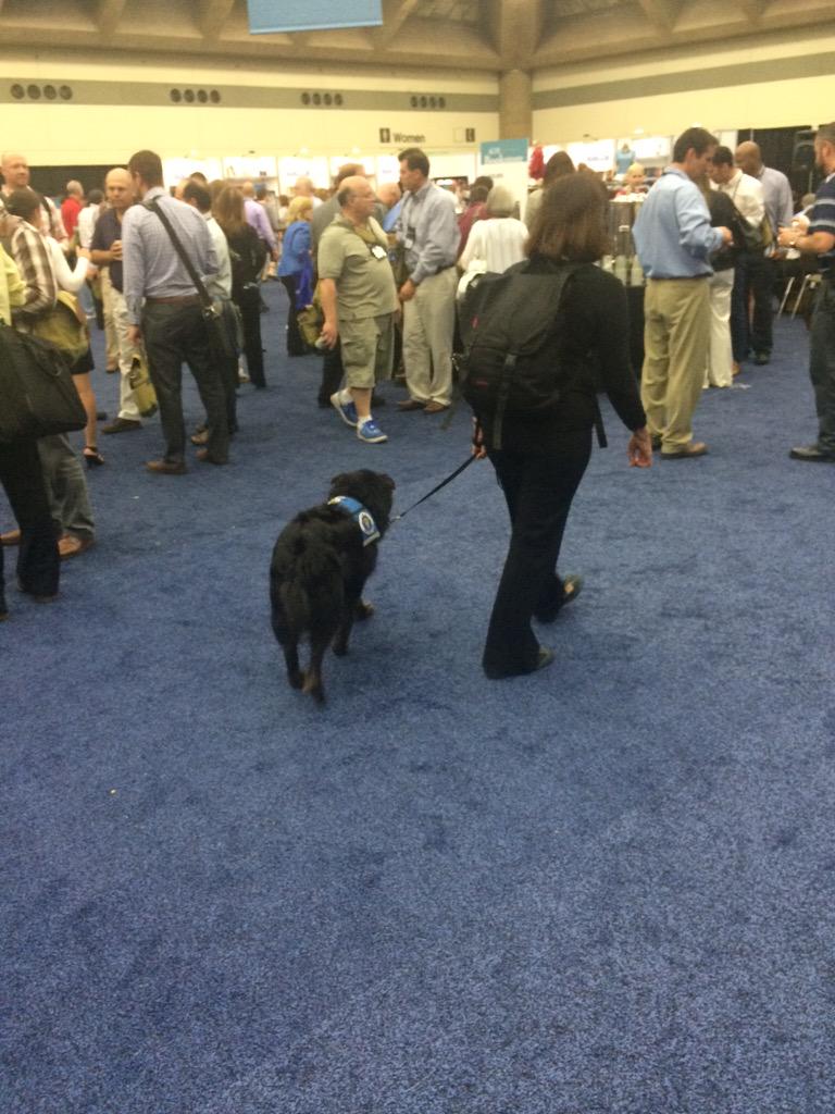 joburgess's tweet photo. @TheACFE finally spotted the #frauddog   at #fraudconf @illini5350 http://t.co/WCKe41lFHz