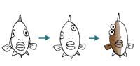 シータ ヒラメやカレイは 昔は左右対称だったがあるときから海底に横倒しに生活することを選び そのため進化の過程で目が反対側まで 移動した 赤ちゃんカレイも目は左右対称で 成長とともに目が移動する Http T Co Lcfcpuuaz5 Http T Co 9by8ssiltp