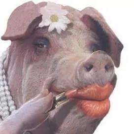 NaviRedStar1's tweet image. Ja sam debela devojkaaa i ne volim grubo ♡ :) #avavav