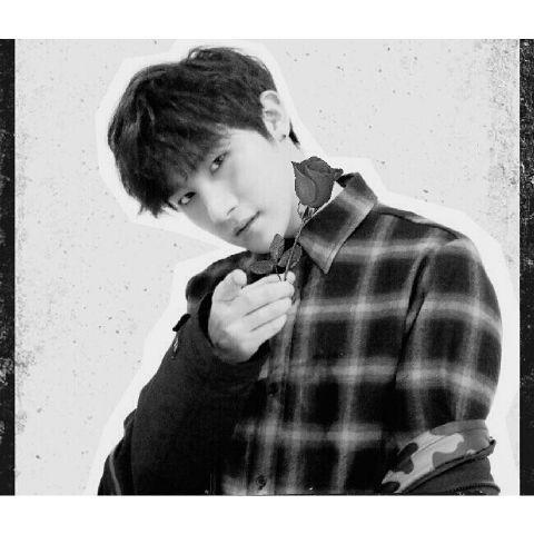 vsimonsta's tweet photo. @vssolbin sol nih, bunga yang ga sempet gua kasih prom waktu itu wkwk http://t.co/2V49R8lOan