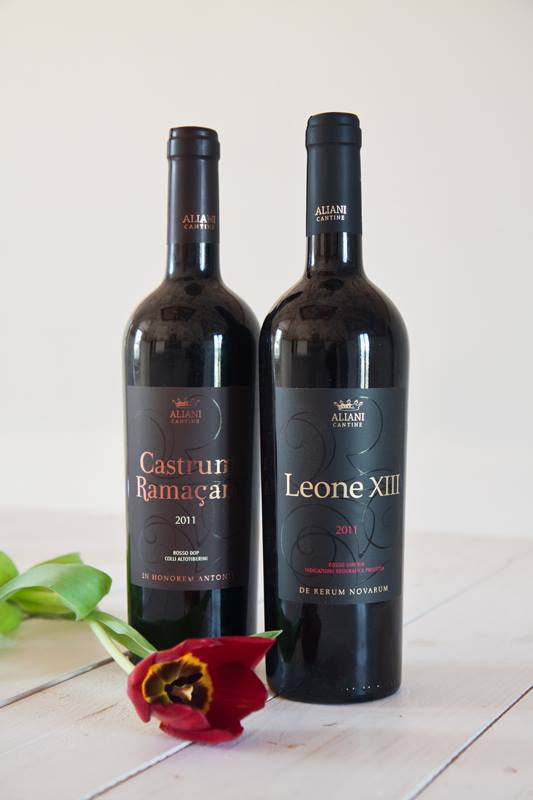 CantineAliani's tweet photo. I nostri due rubini - Leone XIII, Rosso Igt dell'Umbria e Castrum Ramaçani, Rosso Doc Colli Altotiberini. http://t.co/8X0onpf12t