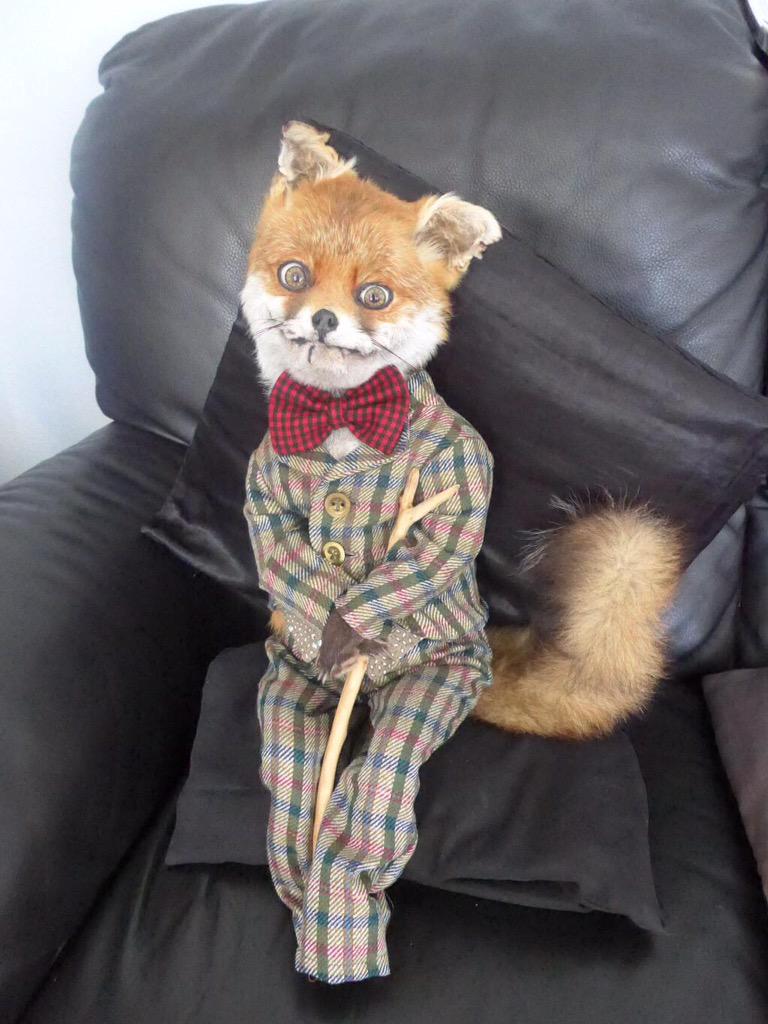 GordoHelio's tweet image. #FirstDateQuestions Do I look smart enough?...