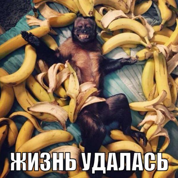 ashtyn_9's tweet photo. http://t.co/iCW7H6QFPV