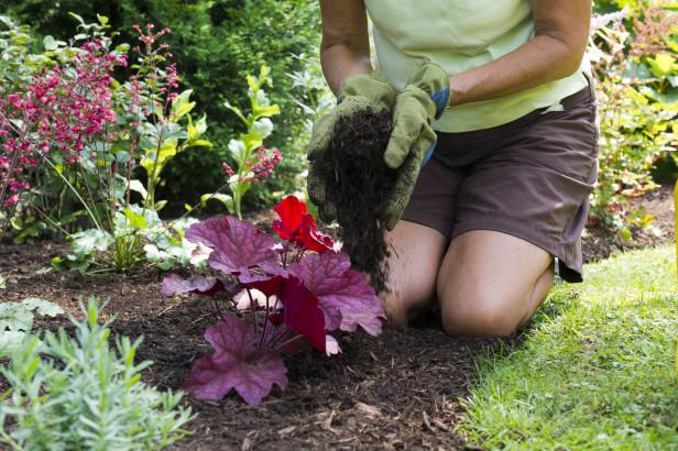 How to prep your garden for sweltering summer temperatures >> hg.tv/36a09