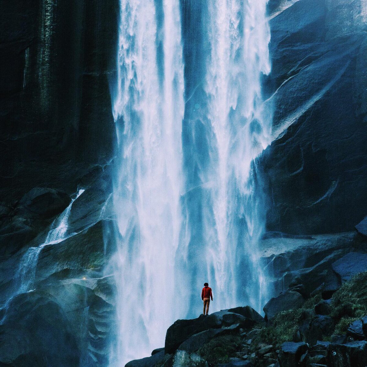 Preservation: instagram.com/p/38oT-foG0V/ // #aBetterNow story by <a href="/AaronPinkston/">Aaron Pinkston</a> in collaboration w/ <a href="/Philips/">Philips</a>