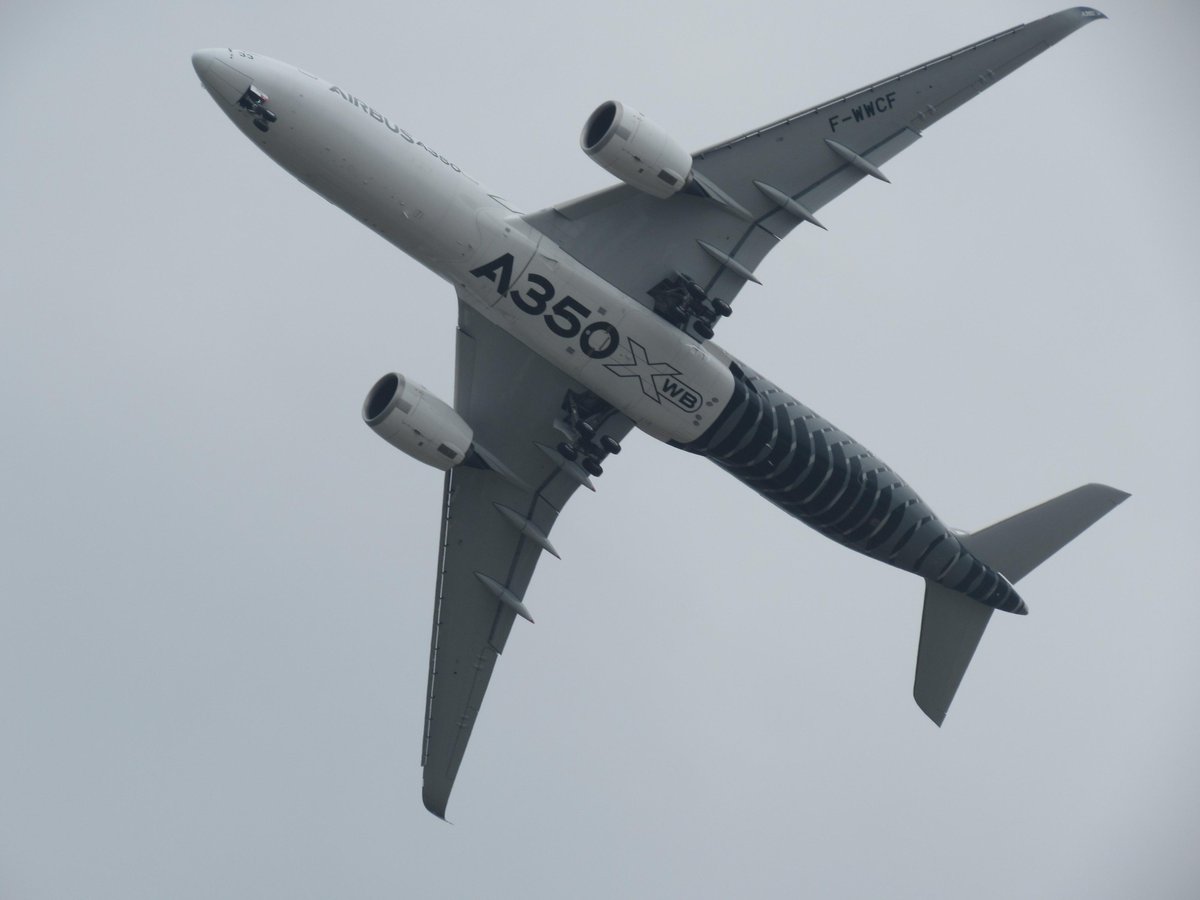 Max Kingsley-Jones tweet media