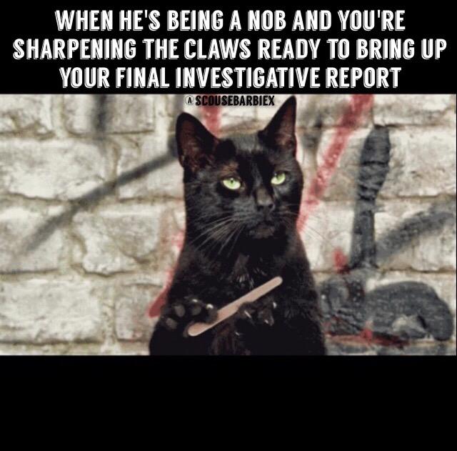 scousebarbiex's tweet photo. Yeah carry on bitch I've got screenshots, witness reports, location service findings👀😂 http://t.co/1K9xPFOyQa