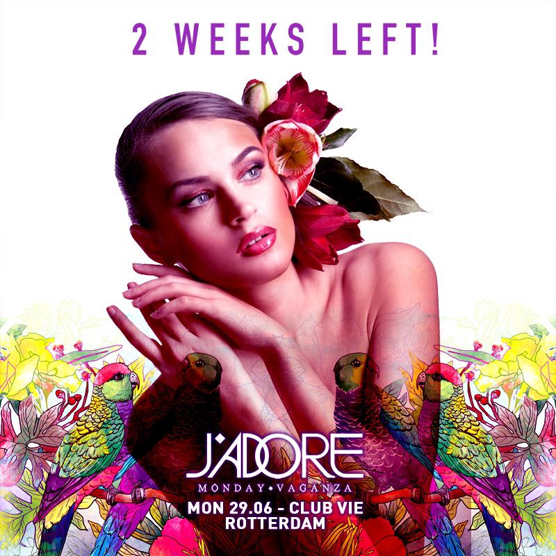 jadoremondayvaganza tweet media