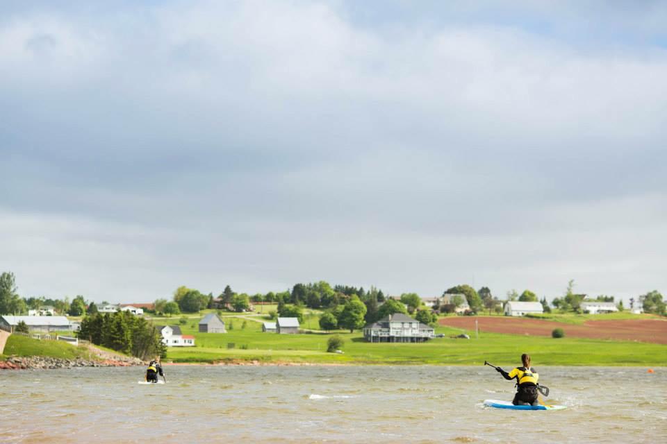 Looks like it's going to be a beauty day to hit the water! Our rentals are ready to go, give us s call to book! #sup