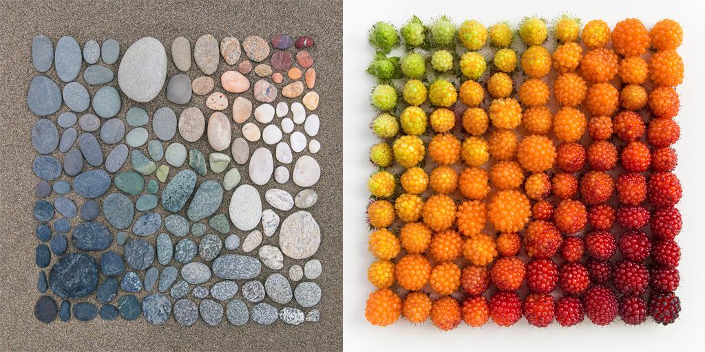 AIGAdesign's tweet image. .@thuglifeforevs' meticulous arrangements are stunning &amp;amp; stunningly precise!
thisiscolossal.com/2015/06/painst… @Colossal