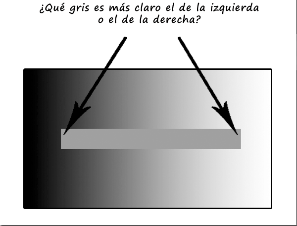 No os lo perdáis tweet media