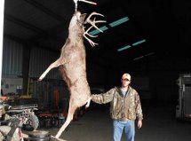 How does a North Texas hunt for both whitetail and hog sound?!