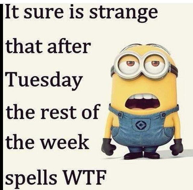 ERPIOGAMING's tweet image. 