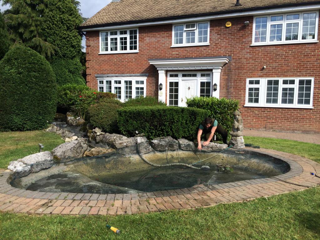 The_Fish_Doctor's tweet image. What a difference! Drained, cleaned, repair to filter and waterfall restored #pond #waterfall #hardwork