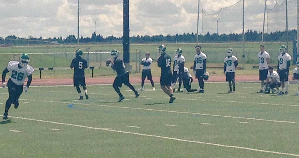 thuekim's tweet photo. Darian Durant, Kevin Glenn &amp; new 3rd stringer Brett Smith. #RidersTC15 http://t.co/VRyldjSVxT