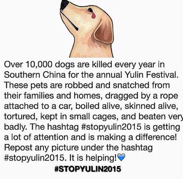 Smendes_updates's tweet photo. PLEASE HELP #OneDirectionForMMVA #ShawnForMMVA #JustinForMMVA #5sosForMMVA http://t.co/PLVe1h48ho #StopYuLin2015 http://t.co/GjXbIrPDgF