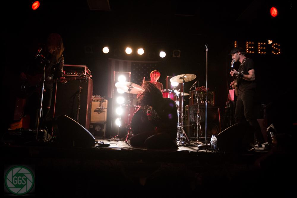 herbivore photography tweet media