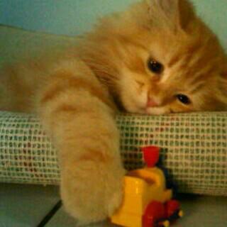 Davilaband's tweet photo. http://t.co/04QD6aJYQp