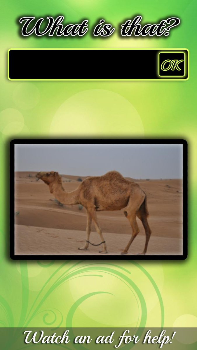 WatsDatGame's tweet image. Can you guess what animal is on the picture? Easy....