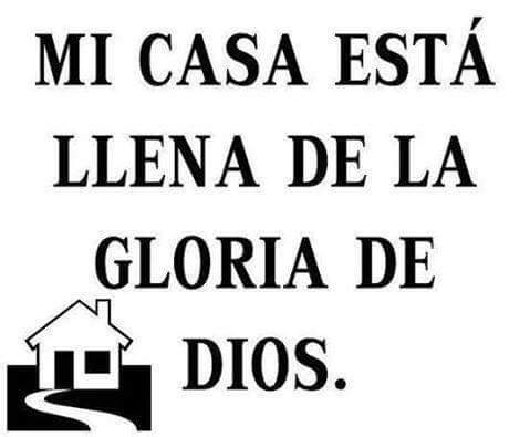 Preferido Perfecto tweet media