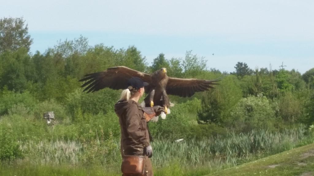 lenabean2007's tweet image. This is a kind of bird we saw .  It was a big  bird! It was  baby  bird.