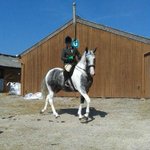 Photo by primeequine.co.uk (@Prime_Equine)