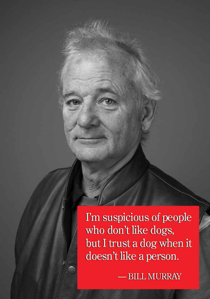 PidiLead's tweet photo. #pidilead <3 bill! "I'm suspicious of people who don't like #dogs, but I trust a dog when it doesn't like a person" http://t.co/L21eby3a7p