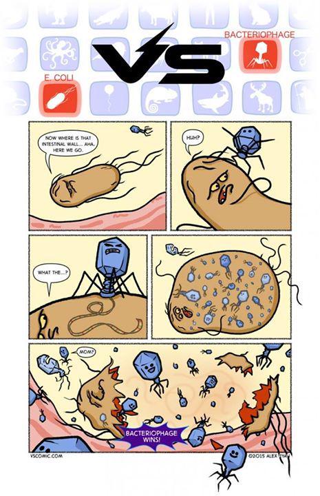 TheonPhthonos's tweet image. #Batteri vs #Batteriofagi

#NerdScience