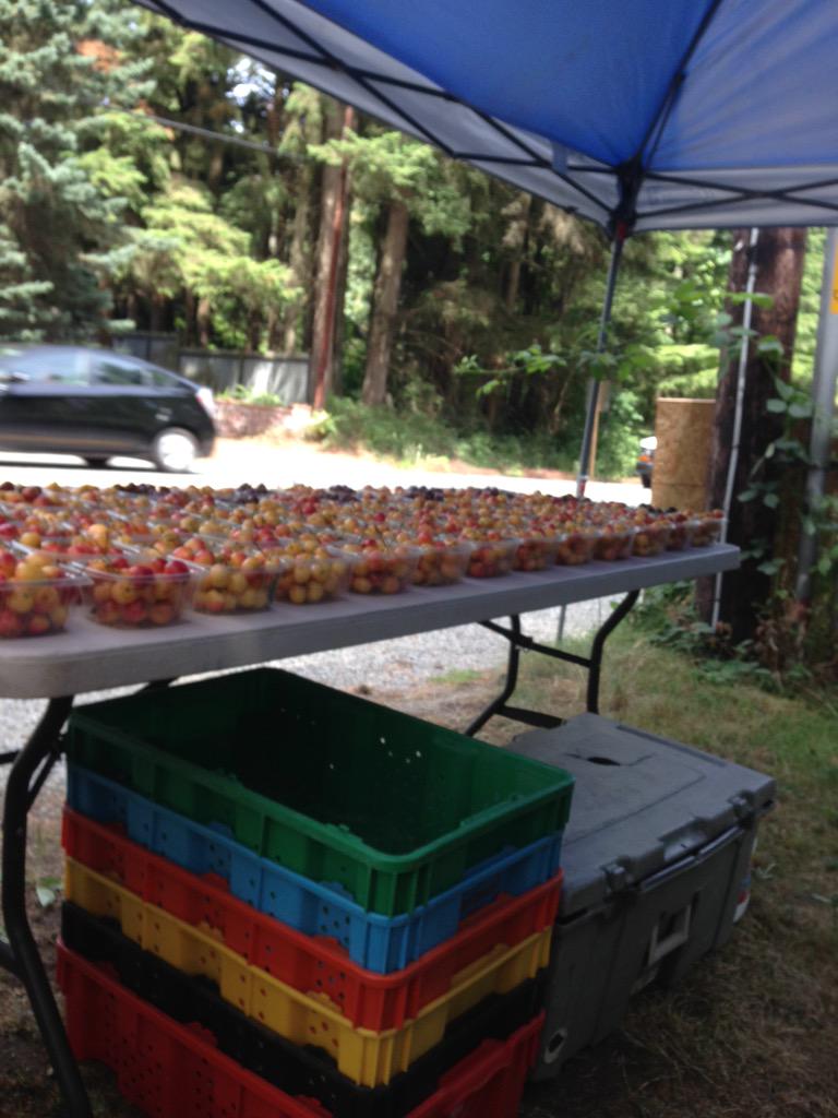 They are still 3 baskets for ten thou