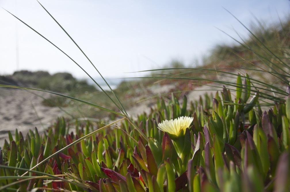 aartyom3's tweet image. t