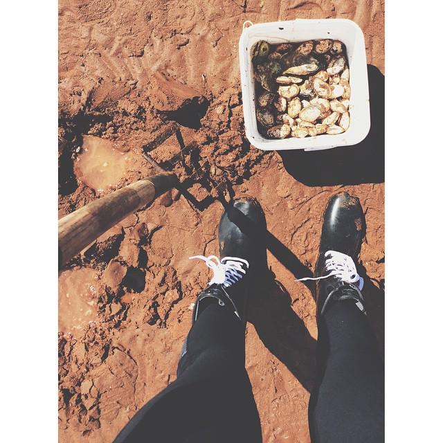 ellenrebeccae's tweet photo. Island perks 💪🏼 #diggingfordinner #softshellclams #secretspots #explorepei #liveauthentic http://t.co/11lcM3lt8D http://t.co/gPMOPRsdmw