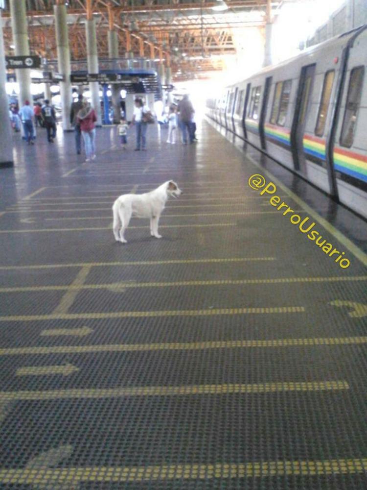 #QueLindoEs cuando proteges mi vida y me ayudas a salir del peligro cuando estoy aquí.