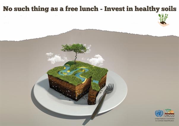 unfoundation's tweet photo. RT @UN: Land degradation affects 1,5 billion people globally. http://t.co/YKd9ufhOvo #WDCD2015 #IYS2015 #Action2015 http://t.co/RVZl2FEGvc