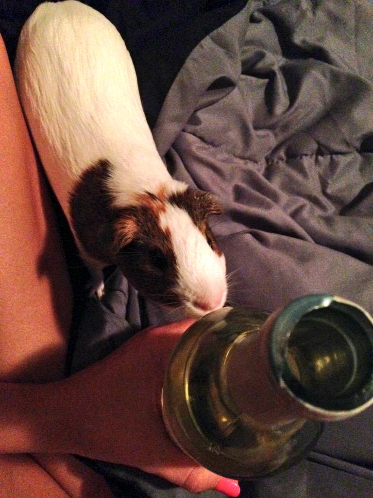 maisypig's tweet photo. I love moscato almost as much as my mom does 🍷😋 http://t.co/BtP7o47tUt