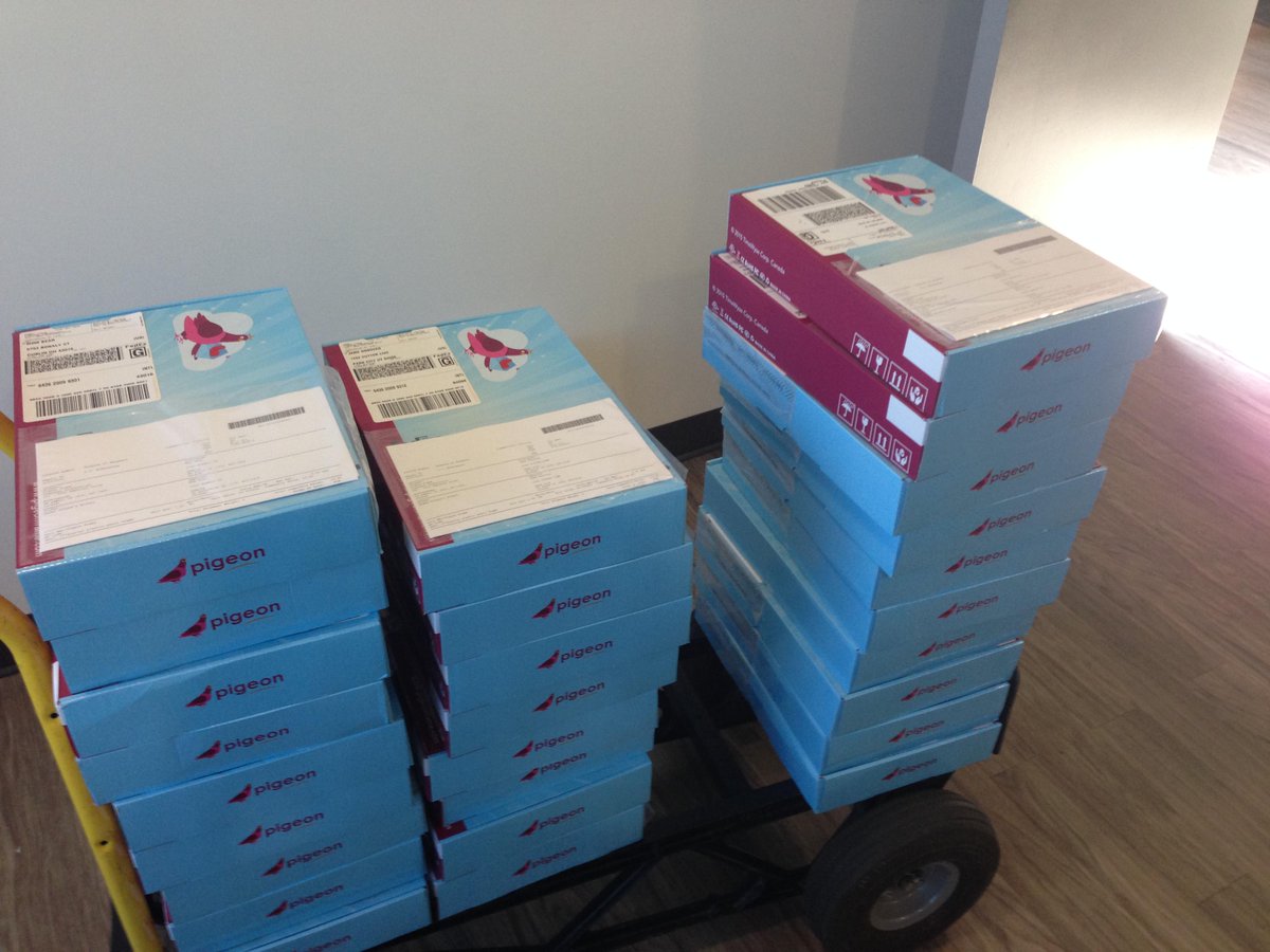 PigeonFrame's tweet image. They're coming! Your Pigeon frame will be on its' way to you soon. #crushingbackorders