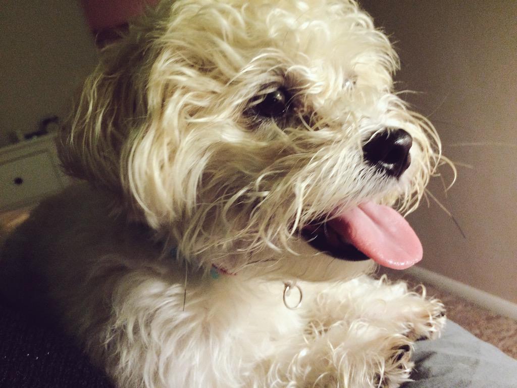 He can be so annoying sometimes, but also so cute ☺️