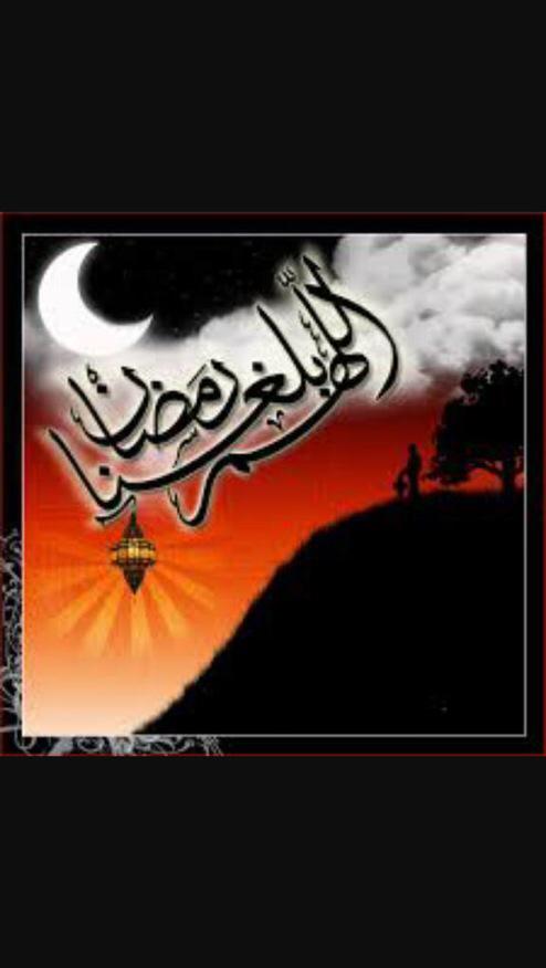Asamkari1's tweet photo. _

بلّغنا يارب سماع التراويح ، ودعوات المُصلين ، ودموع الخاشعين وختم القرآن .. 💜 http://t.co/6yO745YpqO